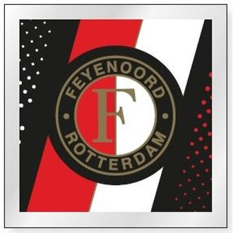 Feyenoord magneet logo streep 2015/16