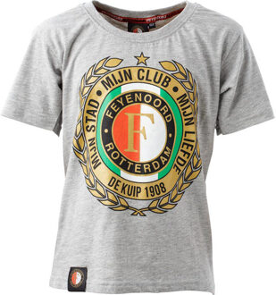Feyenoord t-shirt F-logo HW15 grijs, maat 128