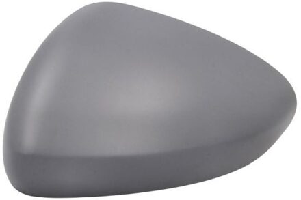 Fiat Afdekking, buitenspiegel 6103070354310P