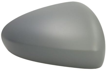 Fiat Afdekking, buitenspiegel 6103070354311P
