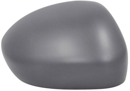 Fiat Afdekking, buitenspiegel 6103072590311P