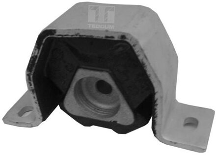 Fiat Aslichaam-/motorsteunlager 00212975