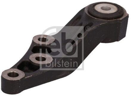 Fiat Aslichaam-/motorsteunlager 197229