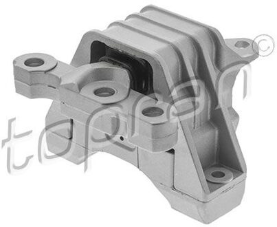 Fiat Aslichaam-/motorsteunlager 206573