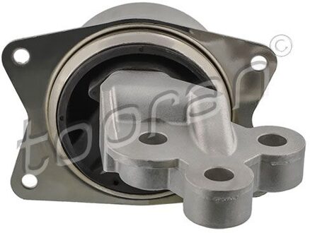 Fiat Aslichaam-/motorsteunlager 206576