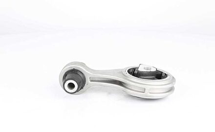 Fiat Aslichaam-/motorsteunlager BSG25700016