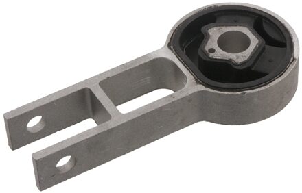 Fiat Aslichaam-/Motorsteunlager