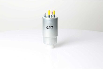 Fiat Brandstoffilter BSG25130001