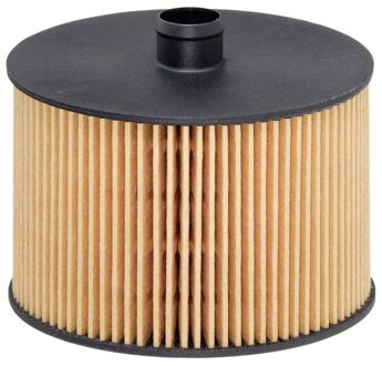 Fiat Brandstoffilter E79KPD118