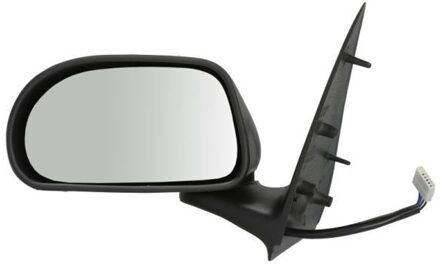 Fiat Buitenspiegel 5402041125298P