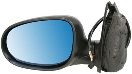 Fiat Buitenspiegel 5402041125550P