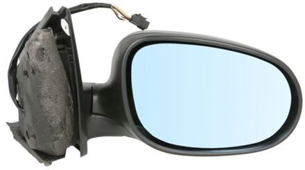 Fiat Buitenspiegel 5402041131552P