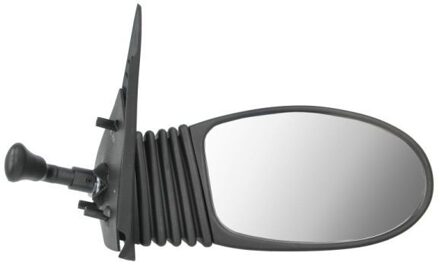 Fiat Buitenspiegel 5402041138911P