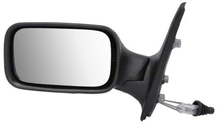 Fiat Buitenspiegel 540207022361P