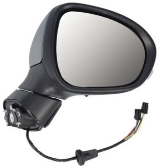 Fiat Buitenspiegel 5402070302313P