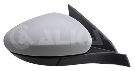 Fiat Buitenspiegel 6140497