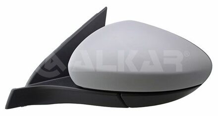 Fiat Buitenspiegel 6141497
