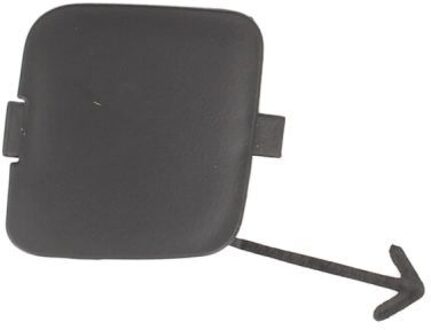 Fiat Bumperafdekking, trekhaak 5513002008920Q
