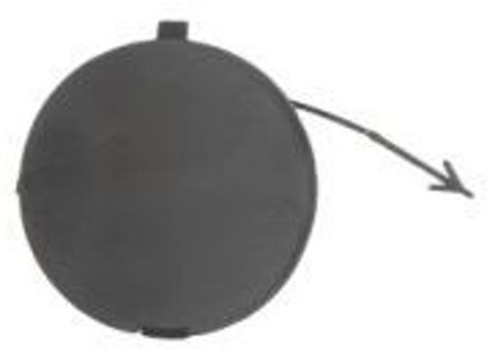 Fiat Bumperafdekking, trekhaak 5513002018920P