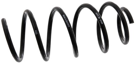 Fiat Chassisveer 37389