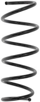 Fiat Chassisveer SP4206