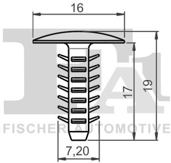 Fiat Clip, sier- /beschermingslijst 331001125