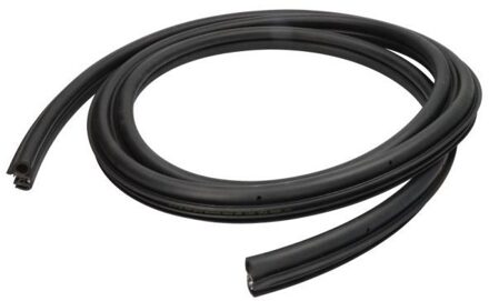 Fiat Deurafdichting 5703042008504P