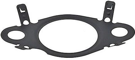 Fiat Dichtring, leiding EGR-klep 478430