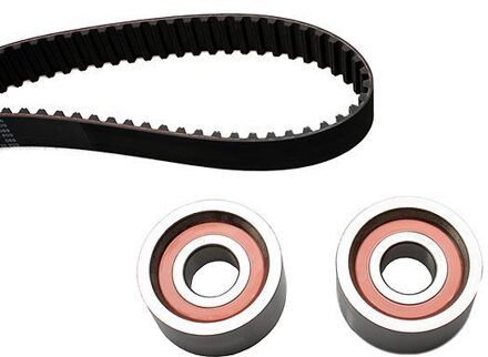 Fiat Distributieriemset 201111