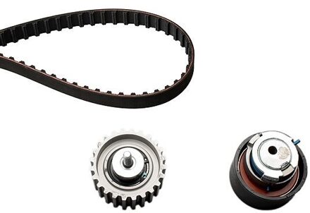 Fiat Distributieriemset 201299