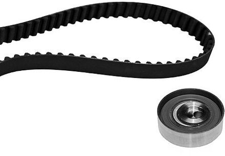 Fiat Distributieriemset 201669