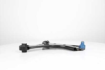 Fiat Draagarm, wielophanging BSG25315036