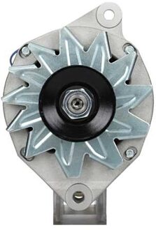 Fiat Dynamo Peugeot 50A 225012050000