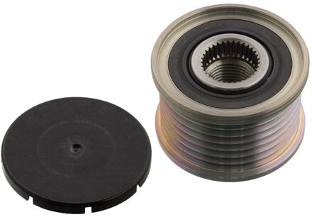 Fiat Dynamovrijloop 101787