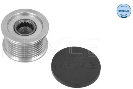 Fiat Dynamovrijloop 16140531002