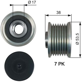 Fiat Dynamovrijloop DriveAlign® OAP7190