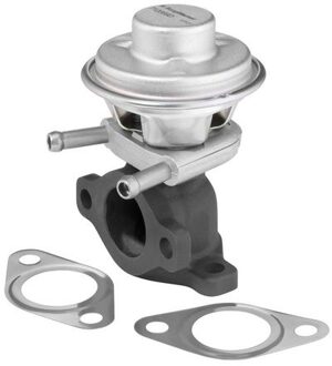 Fiat EGR-klep 712069D