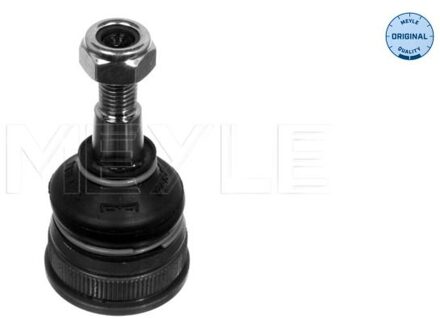 Fiat Fuseekogel 2160103118