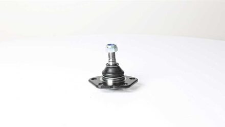 Fiat Fuseekogel BSG25310031