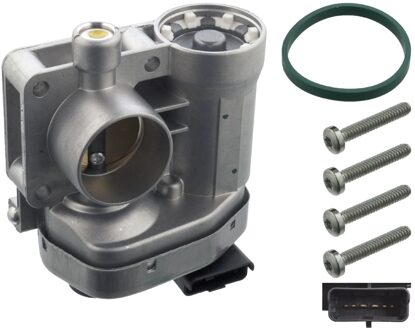 Fiat gasklepopening 101461