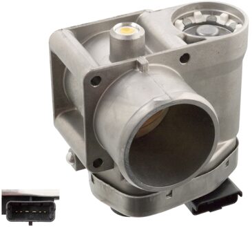 Fiat gasklepopening 101463