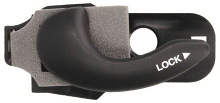 Fiat Handgreep, interieur 601007022409P