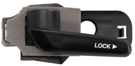 Fiat Handgreep, interieur 601007029409PP