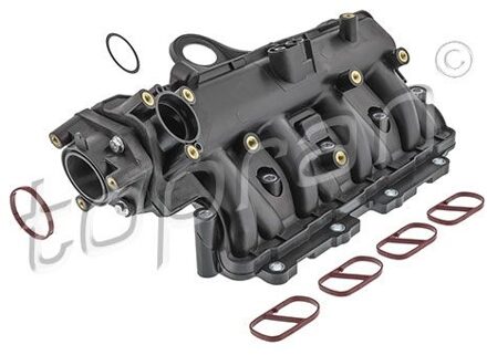 Fiat Inlaatspruitstuk 209187