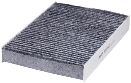 Fiat Interieurfilter E2975LC