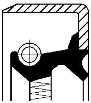 Fiat Keerring, differentieel 12011443B