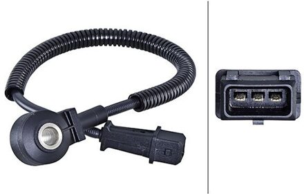 Fiat Klopsensor 6PG013114461