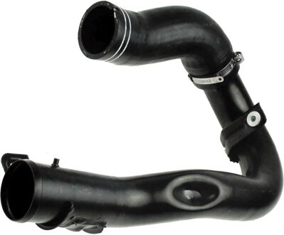 Fiat Laadluchtslang 091288