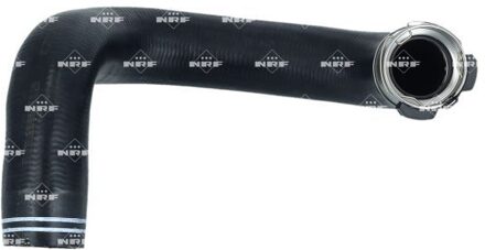 Fiat Laadluchtslang 166111