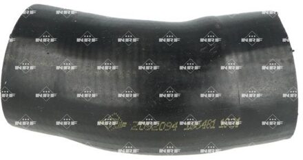 Fiat Laadluchtslang 166481